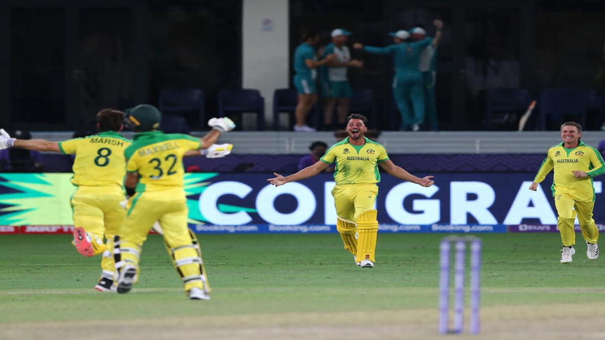 Sports News: Australia beats New Zealand by eight wickets to win T20 World Cup 2021