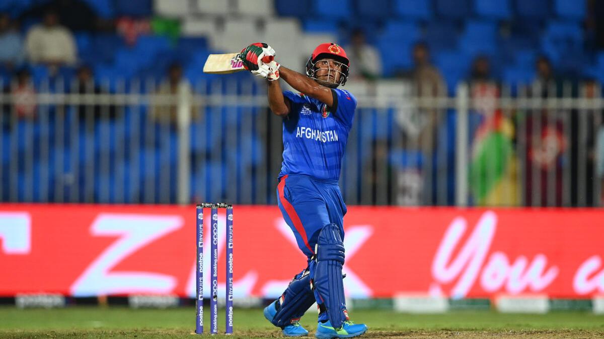 Afghanistan wraps up series against Netherlands in style