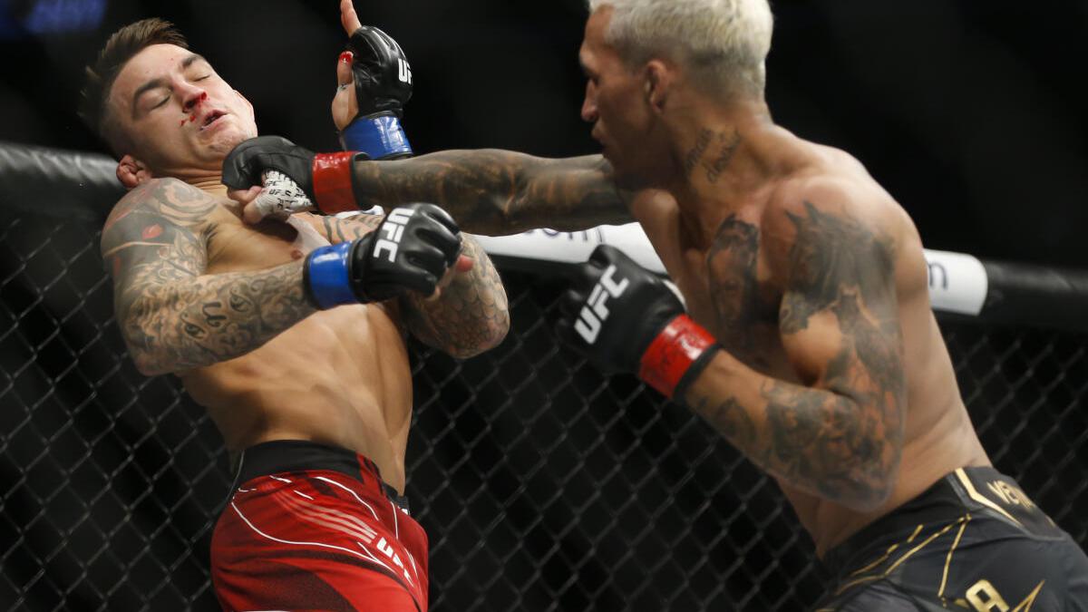 Sports News: UFC 269: Charles Oliveira submits Dustin Poirier
