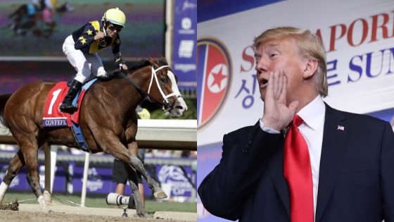 Image result for 5.	Horse named after Trump’s <a class='inner-topic-link' href='/search/topic?searchType=search&searchTerm=TWITTER' target='_blank' title='twitter-Latest Updates, Photos, Videos are a click away, CLICK NOW'>twitter</a> Fiasco, Covfefe won $1 Million Race
